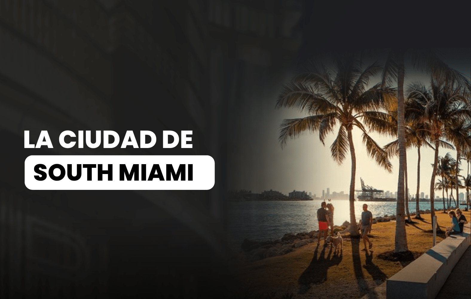 Conoce South Miami