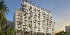 Domus-Building.jpg.webp